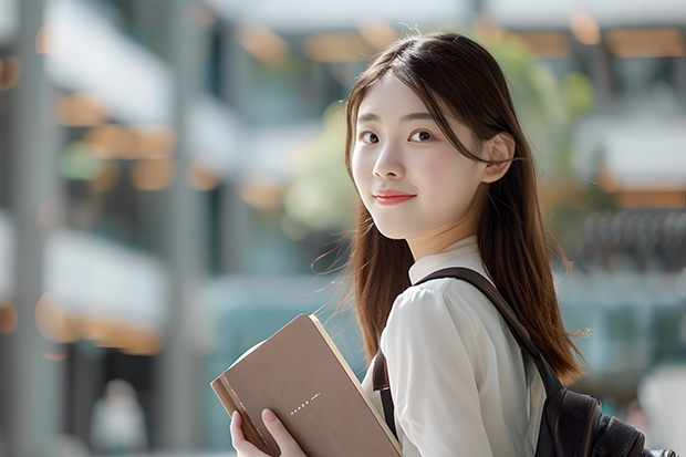 河北有哪些中外合资办学大学？