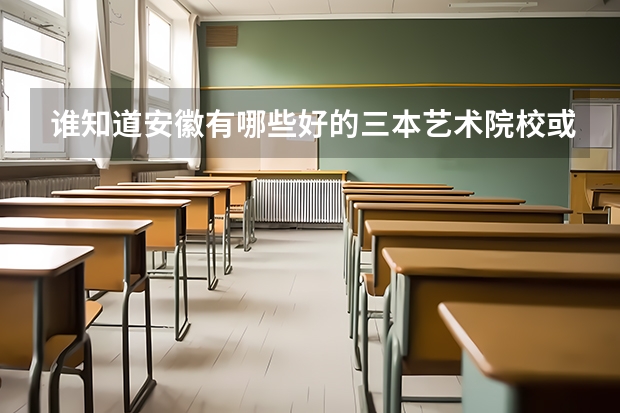 谁知道安徽有哪些好的三本艺术院校或专科?