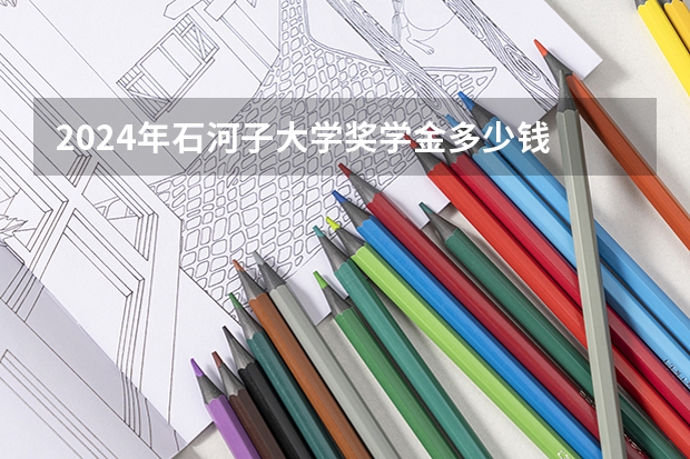 2024年石河子大学奖学金多少钱