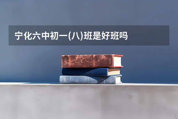 宁化六中初一(八)班是好班吗