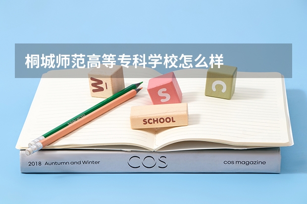 桐城师范高等专科学校怎么样