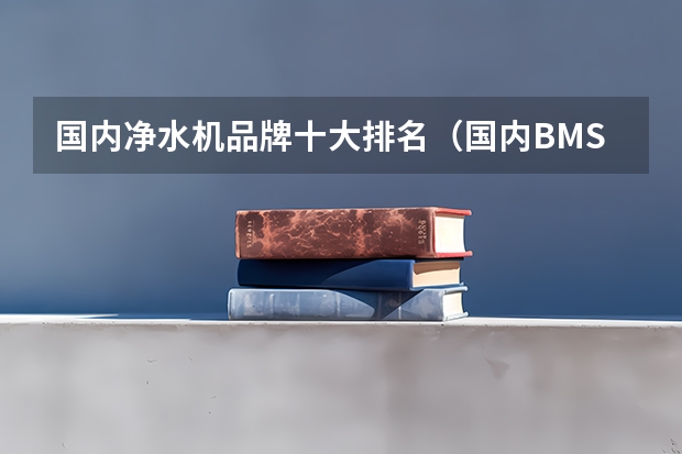 国内净水机品牌十大排名（国内BMS电池管理系统排名前十，BMS电池管理系统厂家）