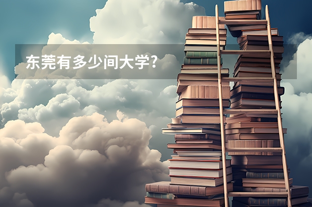 东莞有多少间大学?