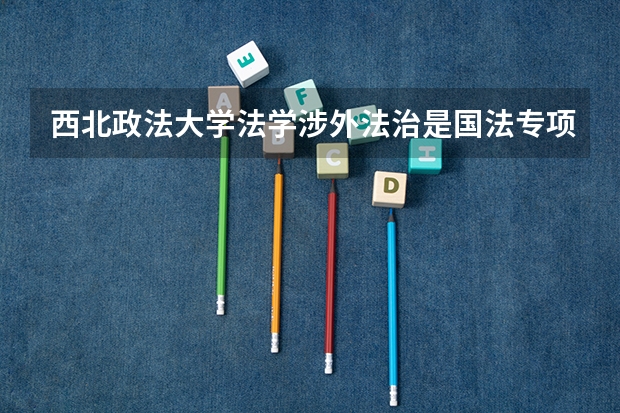 西北政法大学法学涉外法治是国法专项吗