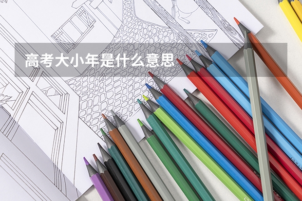 高考大小年是什么意思