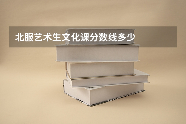 北服艺术生文化课分数线多少