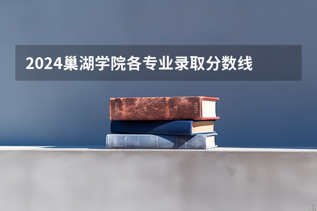 2024巢湖学院各专业录取分数线 徐州生物工程学院2023年招生分数线