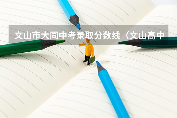 文山市大同中考录取分数线（文山高中录取分数线）