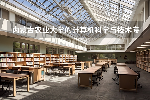 内蒙古农业大学的计算机科学与技术专业怎么样？