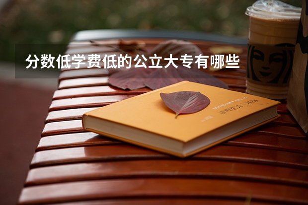分数低学费低的公立大专有哪些
