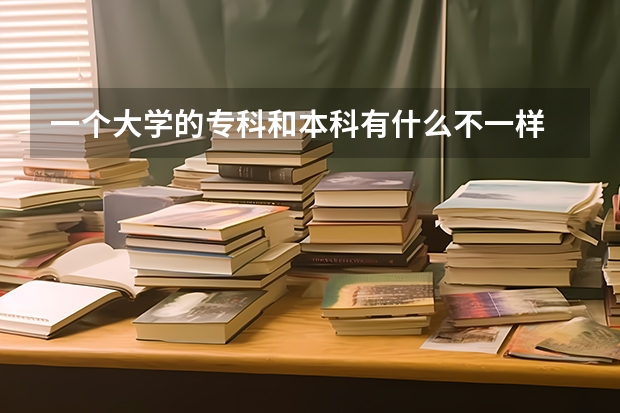 一个大学的专科和本科有什么不一样 是在一个学校里吗？