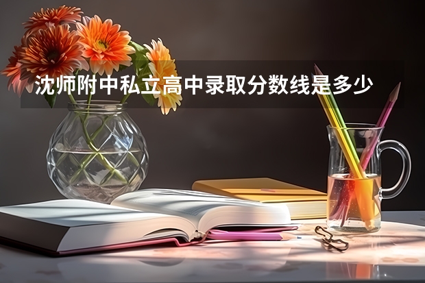 沈师附中私立高中录取分数线是多少
