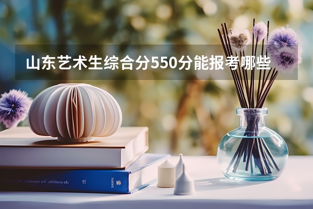 山东艺术生综合分550分能报考哪些大学