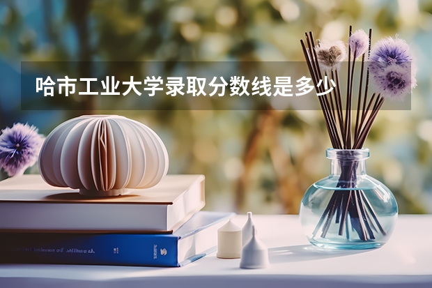 哈市工业大学录取分数线是多少