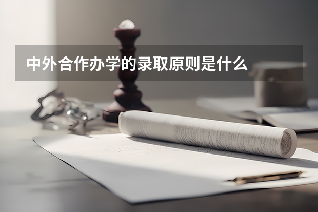 中外合作办学的录取原则是什么