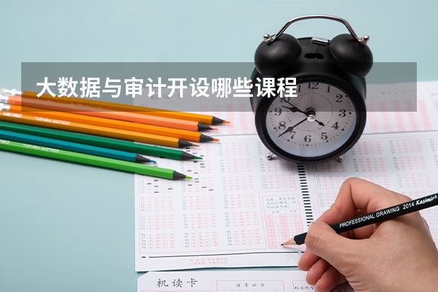 大数据与审计开设哪些课程