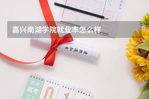 嘉兴南湖学院就业率怎么样