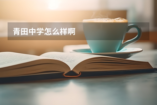 青田中学怎么样啊