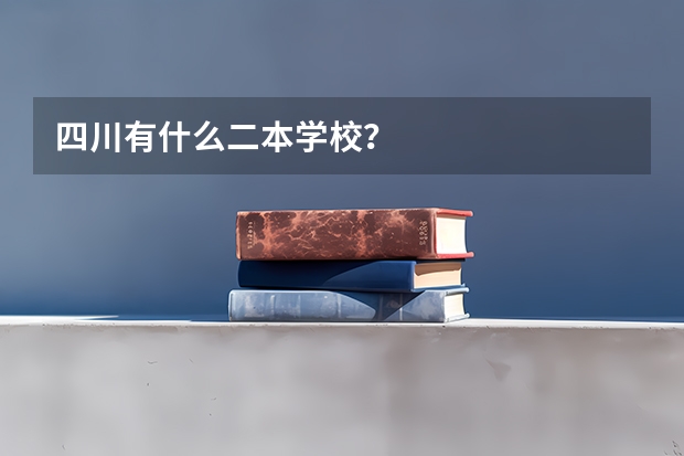 四川有什么二本学校？