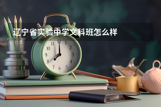 辽宁省实验中学文科班怎么样