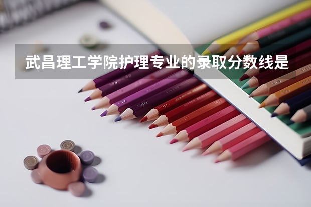 武昌理工学院护理专业的录取分数线是多少？