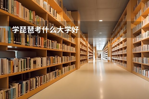 学琵琶考什么大学好