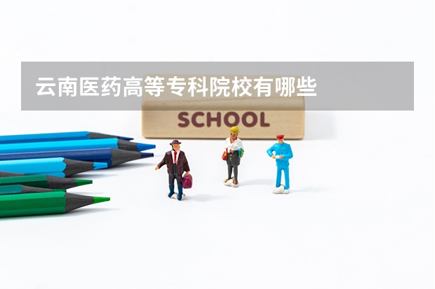 云南医药高等专科院校有哪些
