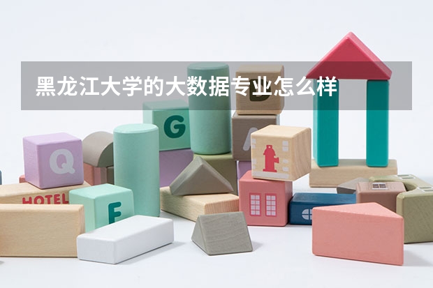 黑龙江大学的大数据专业怎么样