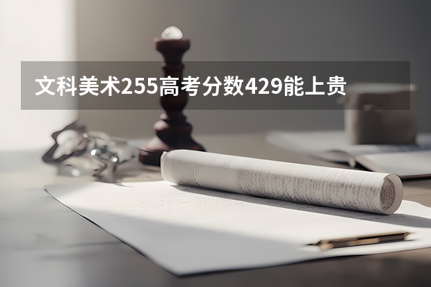 文科美术255高考分数429能上贵州师范大学二本吗?
