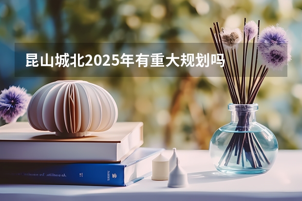 昆山城北2025年有重大规划吗