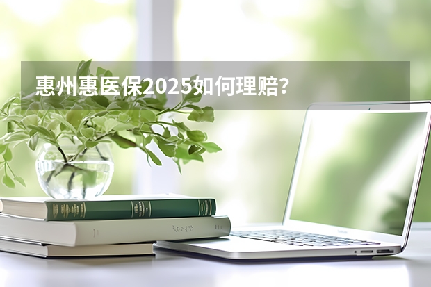 惠州惠医保2025如何理赔?