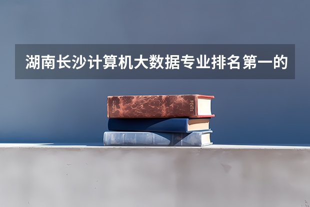 湖南长沙计算机大数据专业排名第一的大学（河南大专计算机专业学校排名）