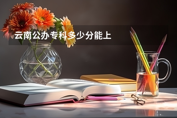 云南公办专科多少分能上