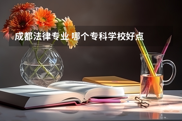 成都法律专业 哪个专科学校好点