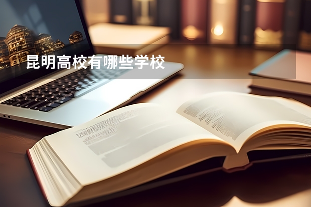 昆明高校有哪些学校