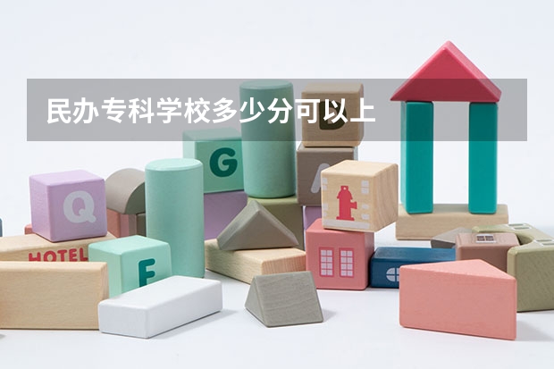 民办专科学校多少分可以上