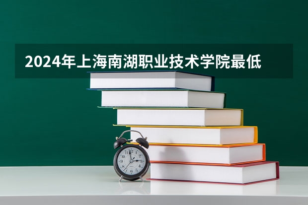 2024年上海南湖职业技术学院最低录取分数线是多少 上海历年录取分数线