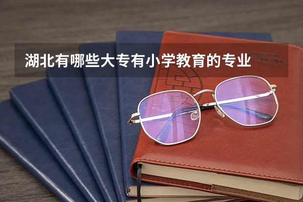湖北有哪些大专有小学教育的专业