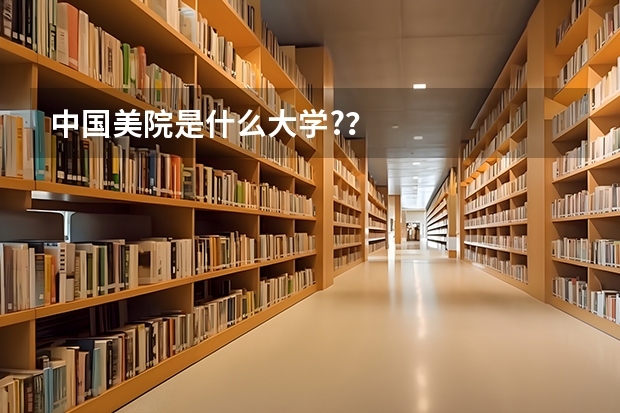 中国美院是什么大学?？
