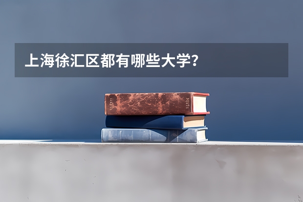 上海徐汇区都有哪些大学？