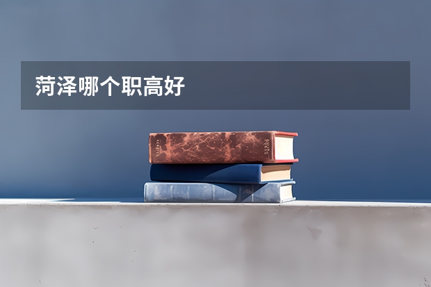 菏泽哪个职高好