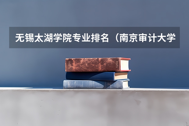 无锡太湖学院专业排名（南京审计大学审计学专业排名）