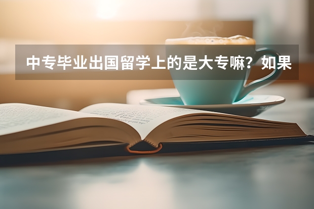 中专毕业出国留学上的是大专嘛？如果是，那么想升本科可以吗？