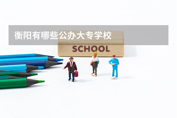 衡阳有哪些公办大专学校
