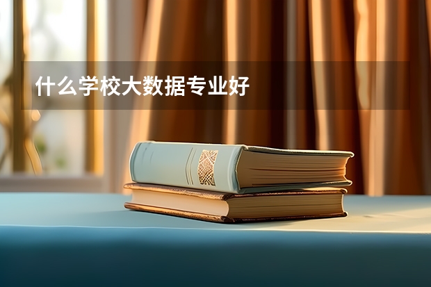 什么学校大数据专业好