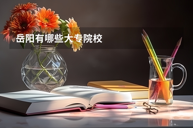 岳阳有哪些大专院校