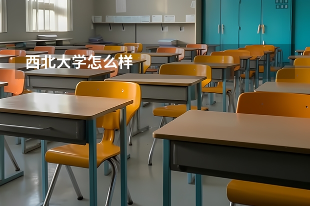 西北大学怎么样