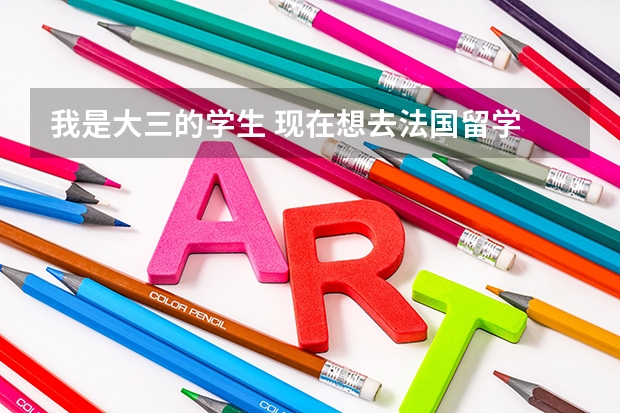 我是大三的学生 现在想去法国留学 需要大学成绩单吗？我打算退学