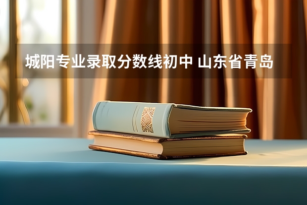 城阳专业录取分数线初中 山东省青岛市城阳区职业学校录取分数线