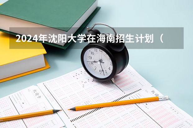 2024年沈阳大学在海南招生计划（招生人数）